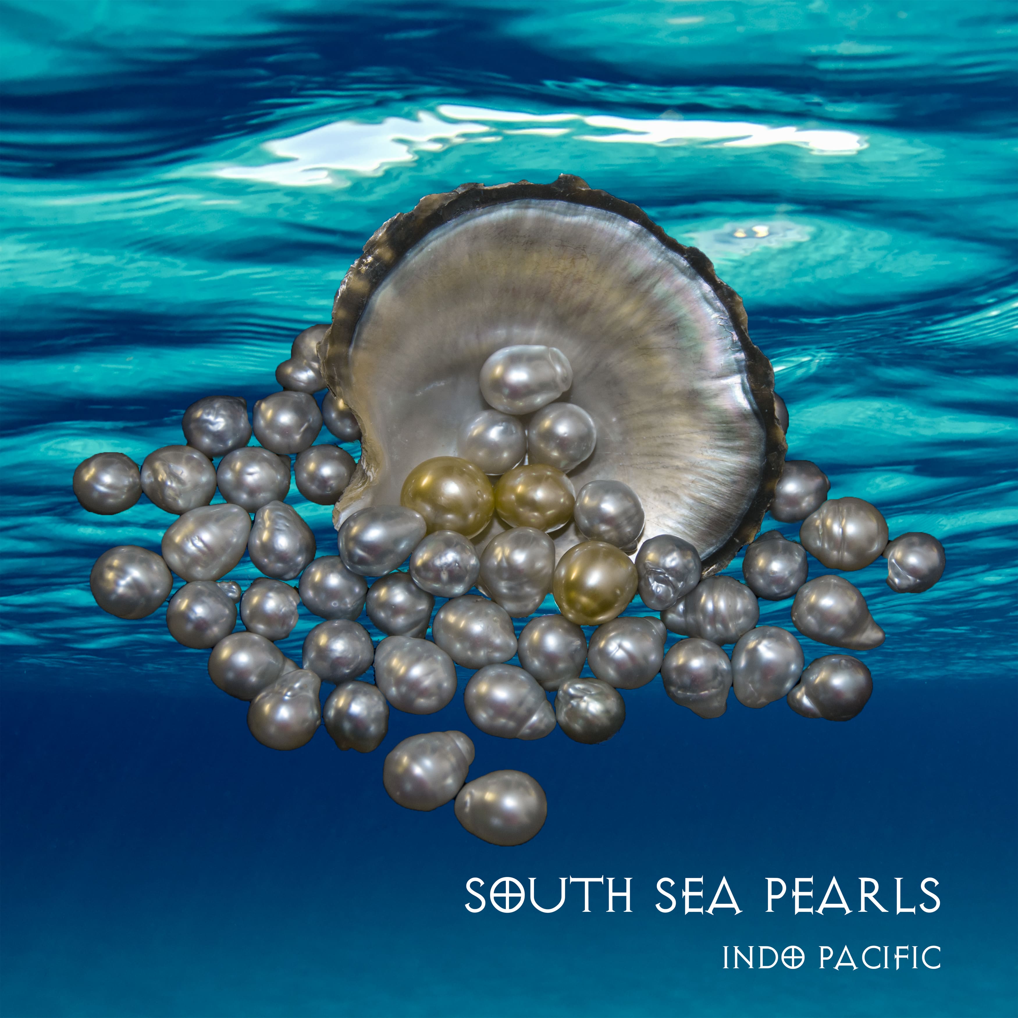 Picture of South Sea Pearls for this Category of pearls